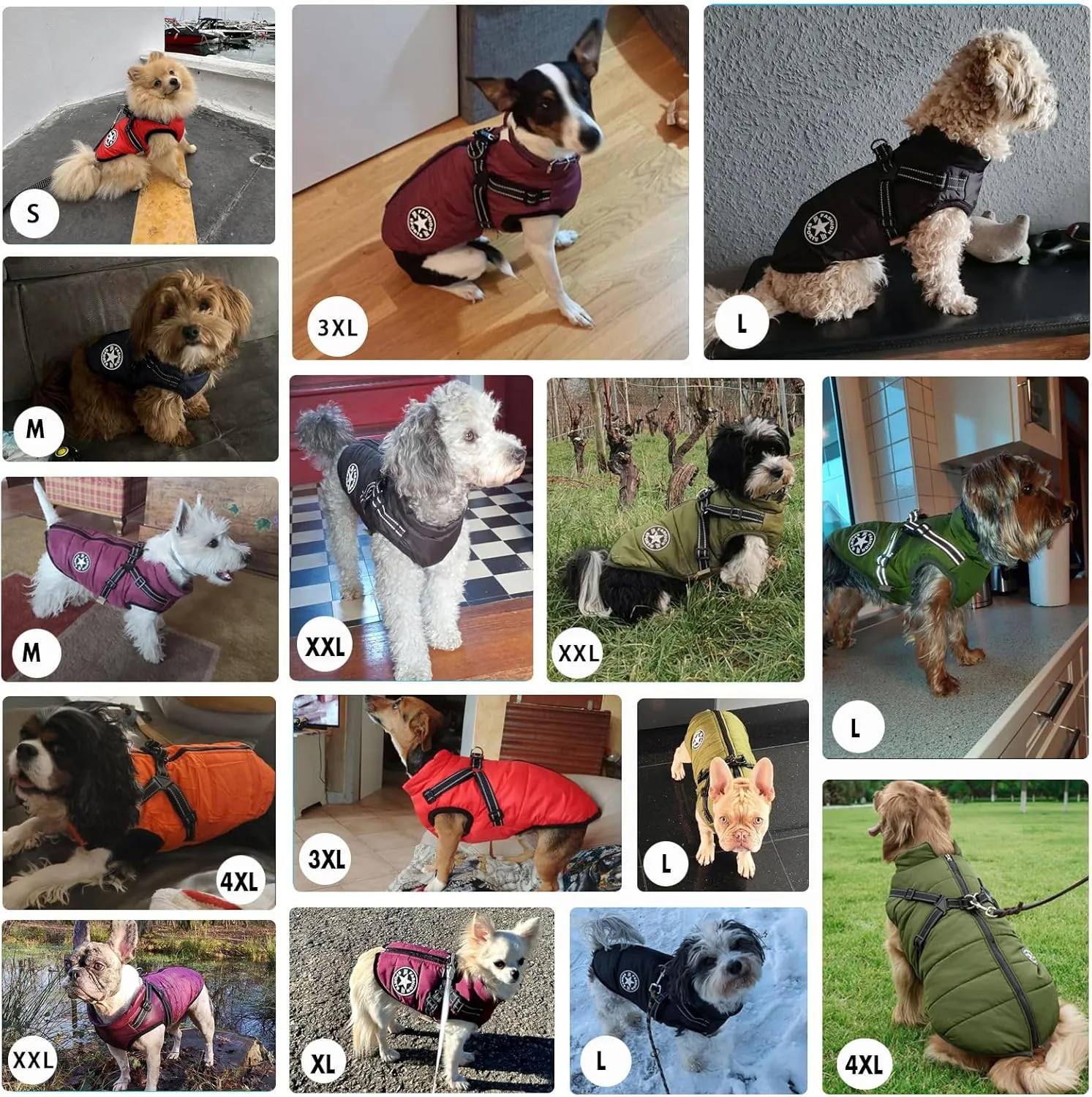Aiboria Dog Jackets for Winter Windproof Waterproof 2 in 1 Outfit Cold Weather Coat Dog Vest Harness Puppy Winter Warm Jacket Small Blue S