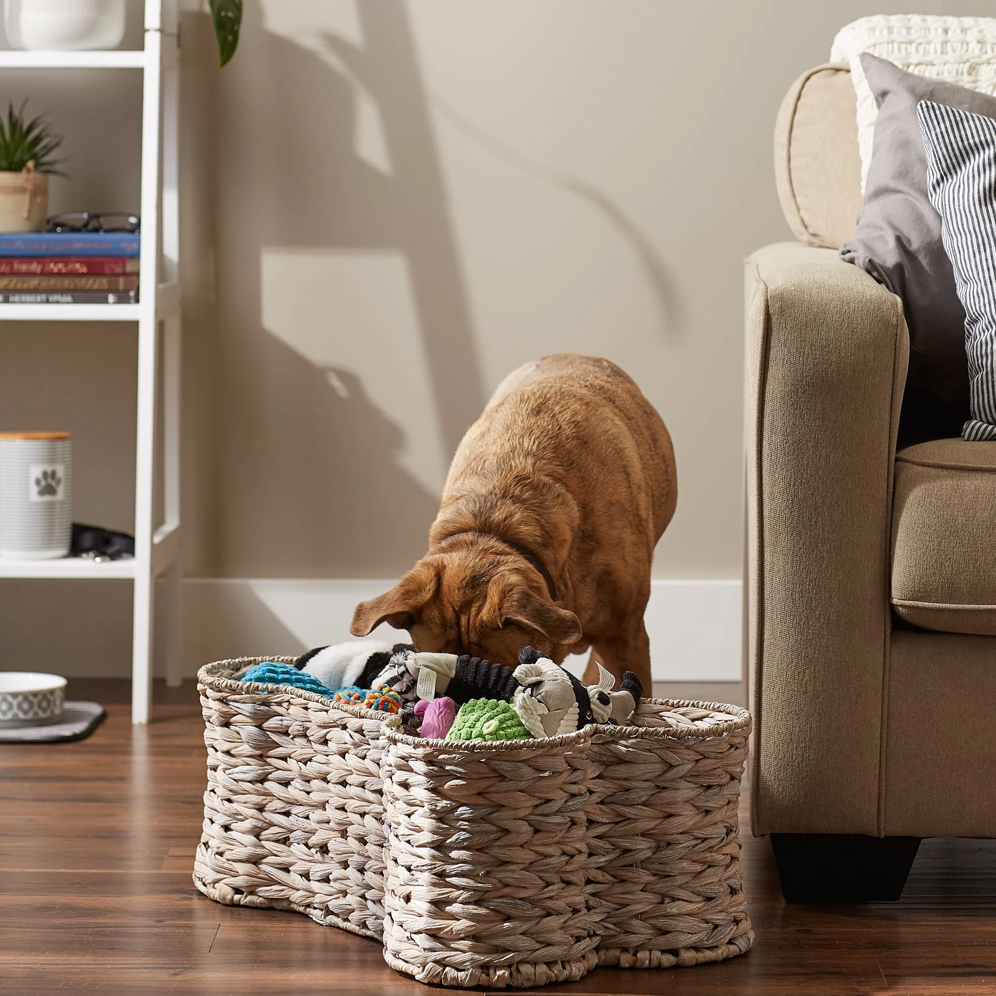 Bone Dry Hyacinth Pet Storage Basket, Bone Shaped, White Wash, Large - 24x15x9"