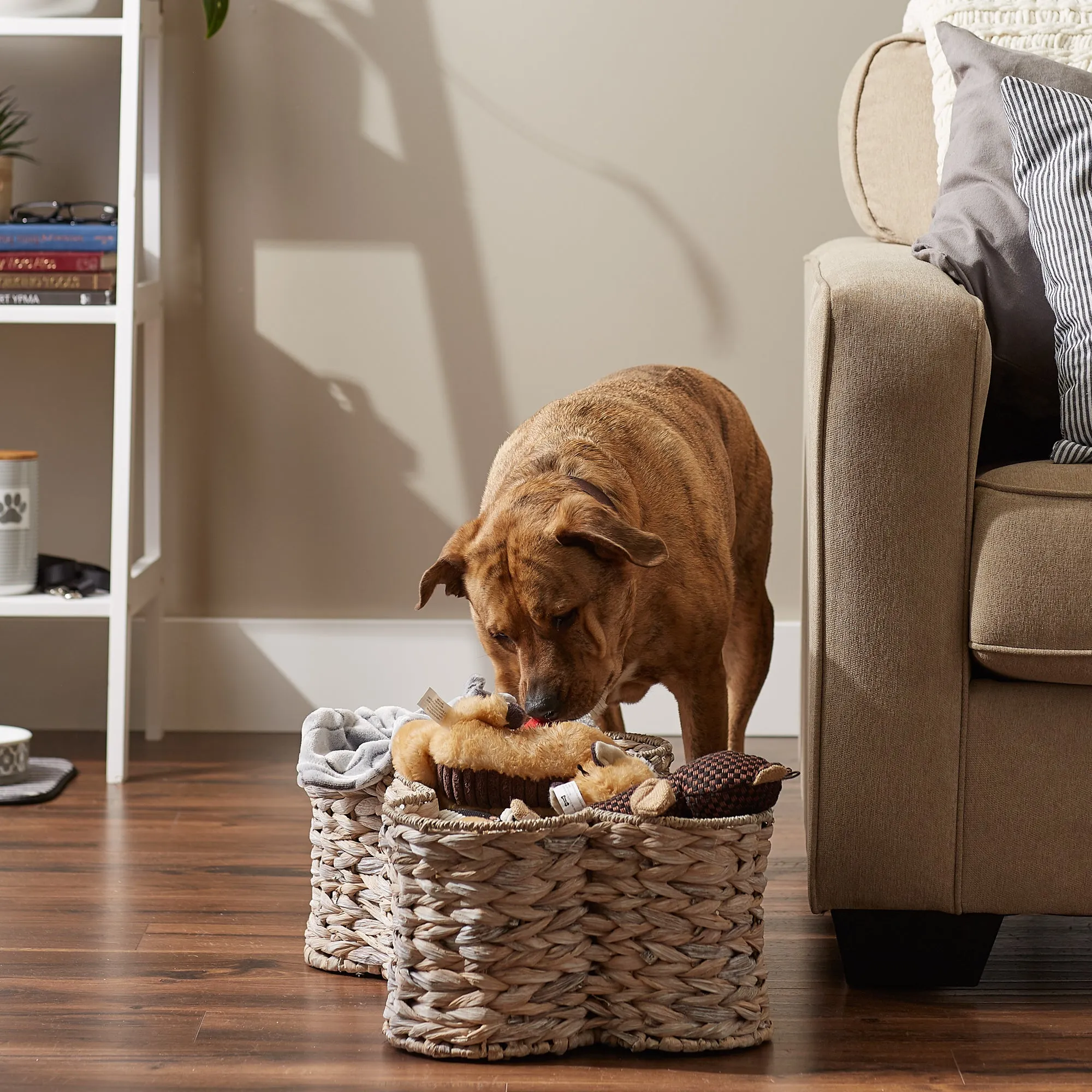 Bone Dry Hyacinth Pet Storage Basket, Bone Shaped, White Wash, Large - 24x15x9"