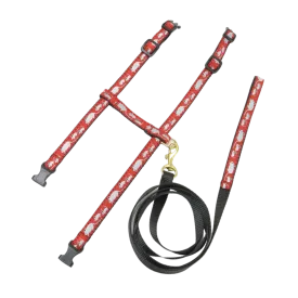 Cat Harness & Leash | Mouse