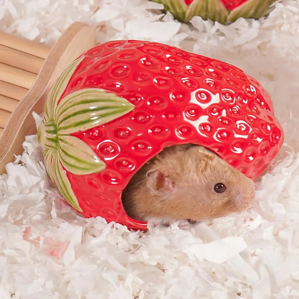 Ceramic Hamster Hideout, Strawberry Hamster House and Habitat, Syrian Hamster Hideout Decor Cool Bed for All Season Gerbil, Mice Guinea Pig