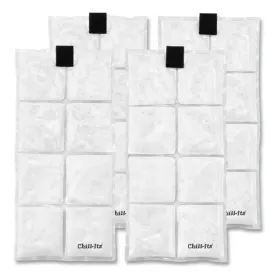 Chill-its 6250 Lightweight Phase Change Cooling Packs, 6 X 13, 4/carton, Ships In 1-3 Business Days