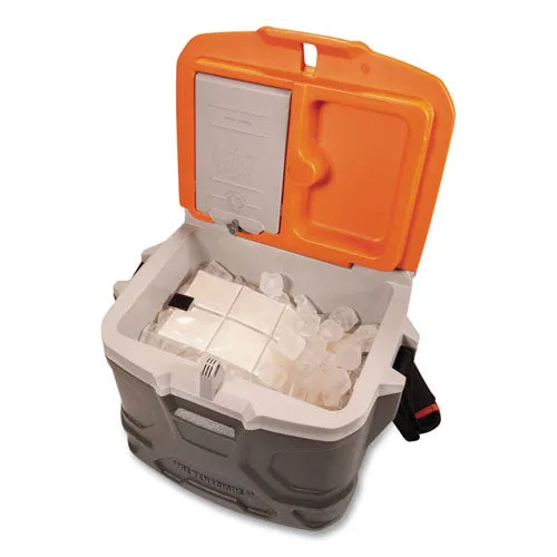 Chill-its 6250 Lightweight Phase Change Cooling Packs, 6 X 13, 4/carton, Ships In 1-3 Business Days