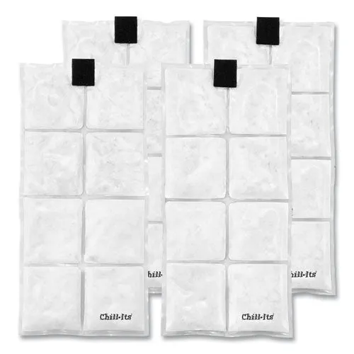 Chill-its 6250 Lightweight Phase Change Cooling Packs, 6 X 13, 4/carton, Ships In 1-3 Business Days