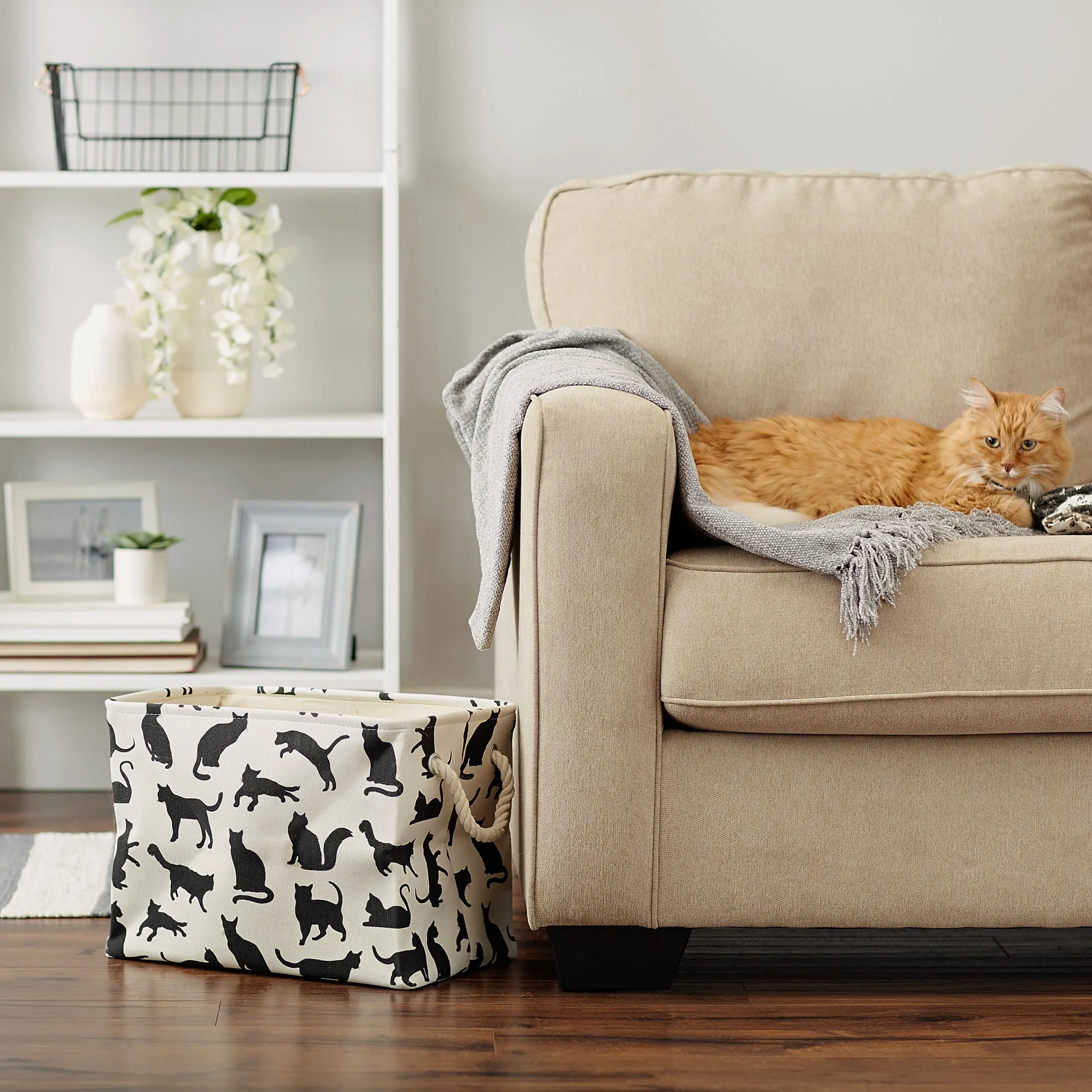 Collapsible Pet Storage Bin, Cat's Meow Print, Black/White, Small - 14x8x9"