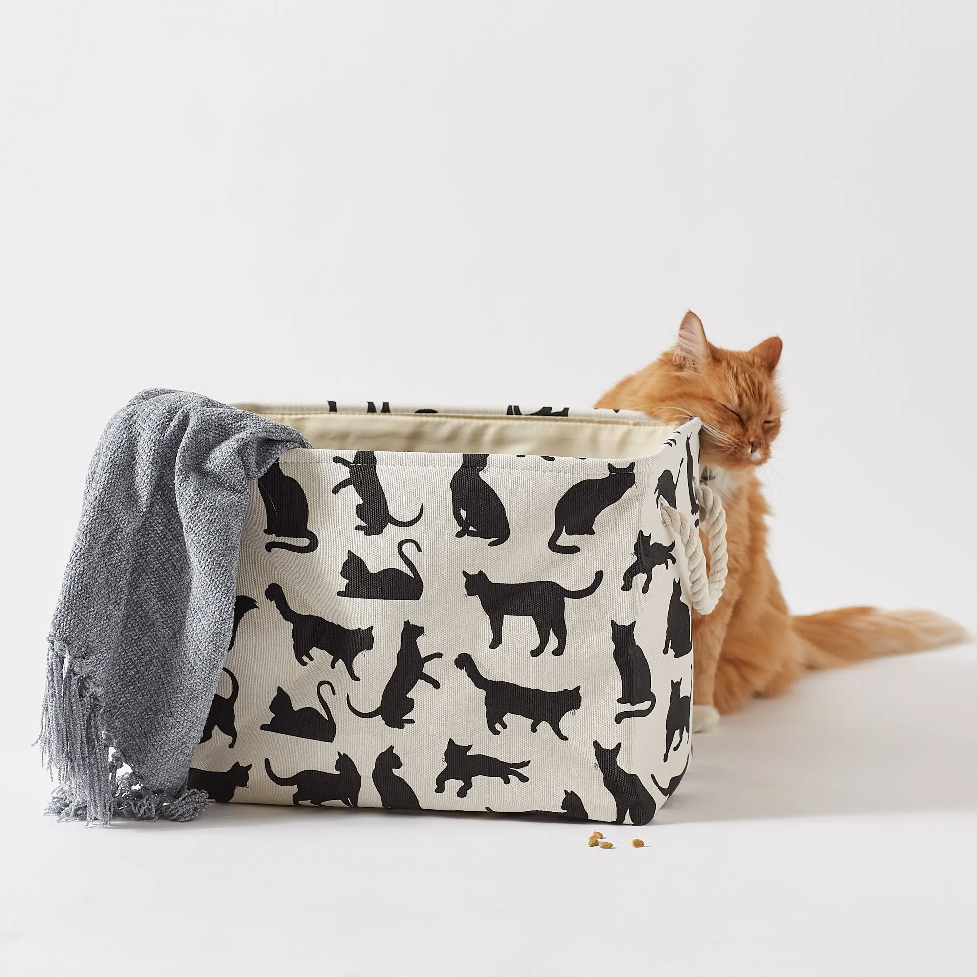 Collapsible Pet Storage Bin, Cat's Meow Print, Black/White, Small - 14x8x9"