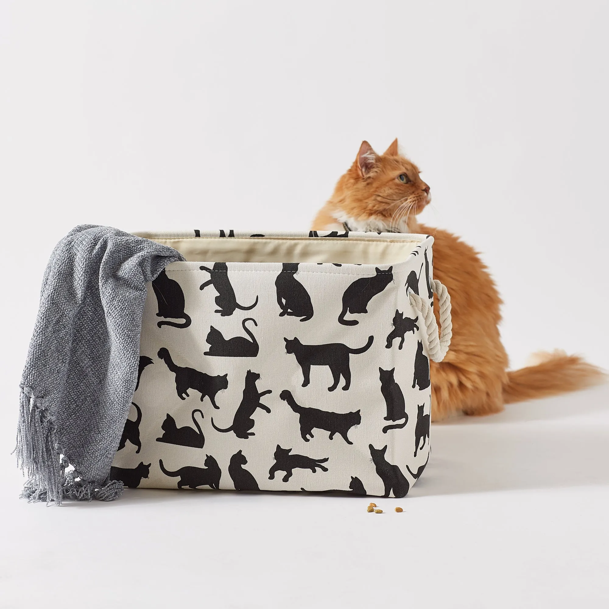 Collapsible Pet Storage Bin, Cat's Meow Print, Black/White, Small - 14x8x9"