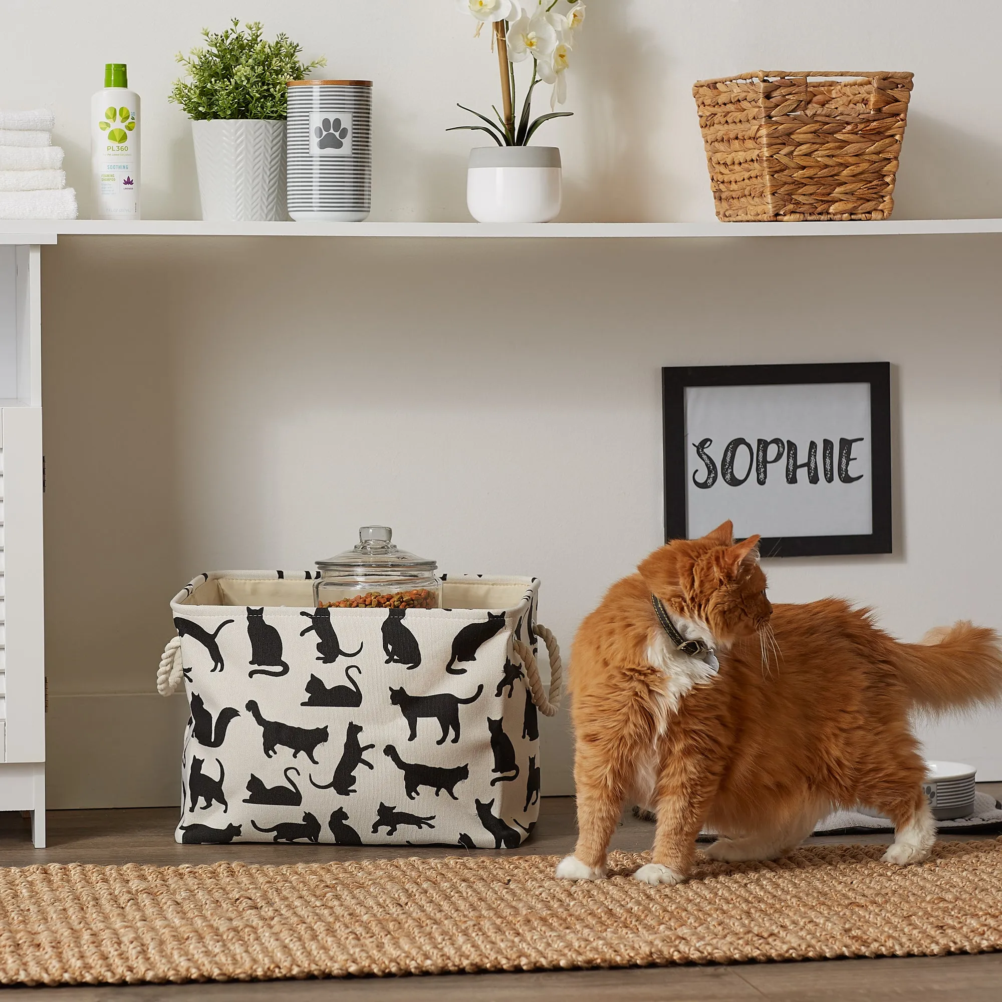 Collapsible Pet Storage Bin, Cat's Meow Print, Black/White, Small - 14x8x9"