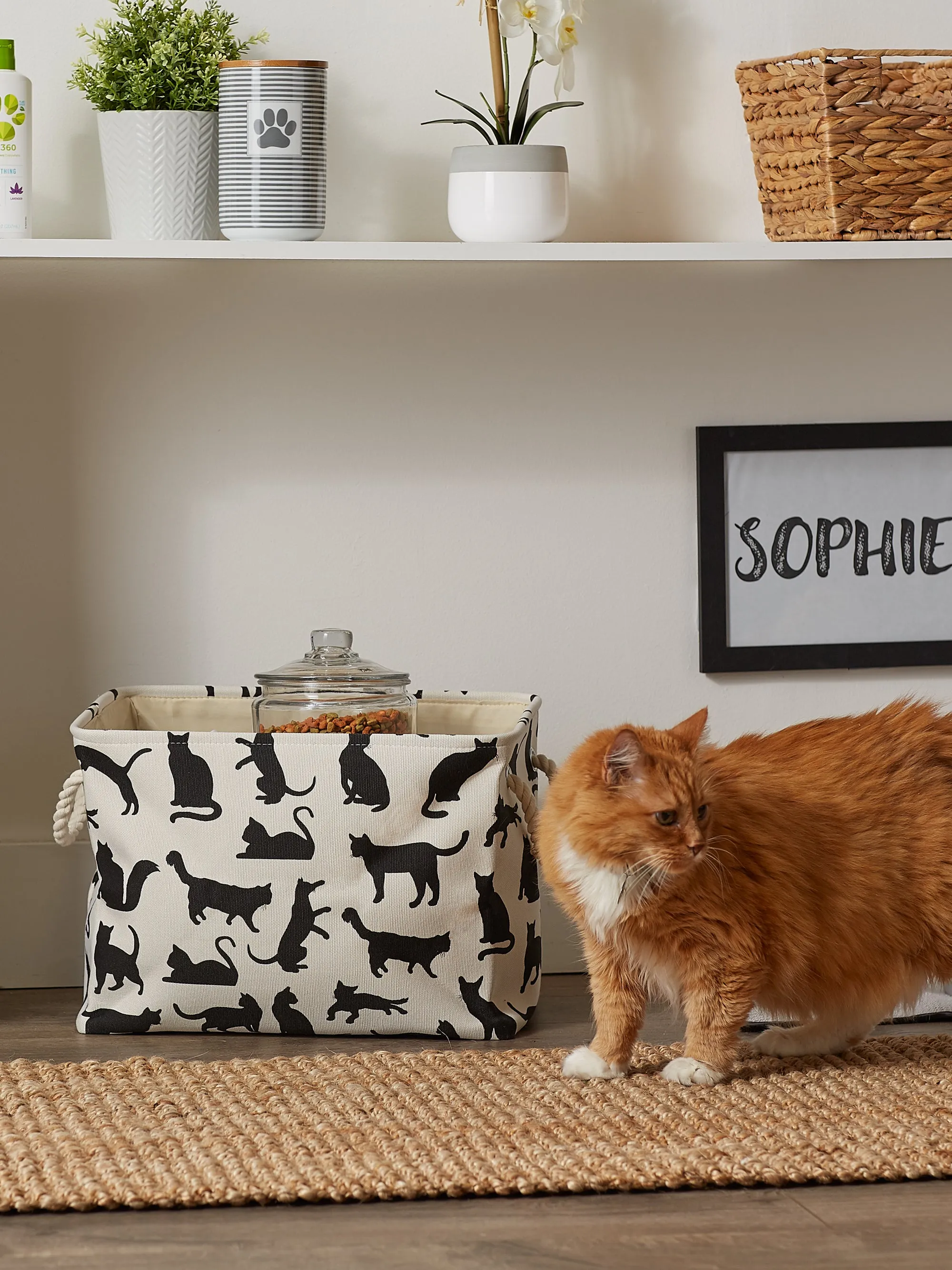 Collapsible Pet Storage Bin, Cat's Meow Print, Black/White, Small - 14x8x9"