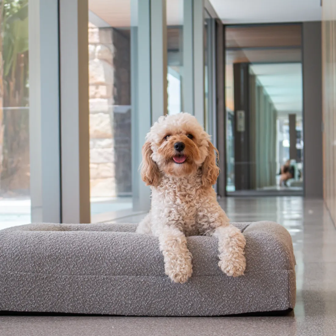 Dazy Dog Bed Cover Boucle Pebble