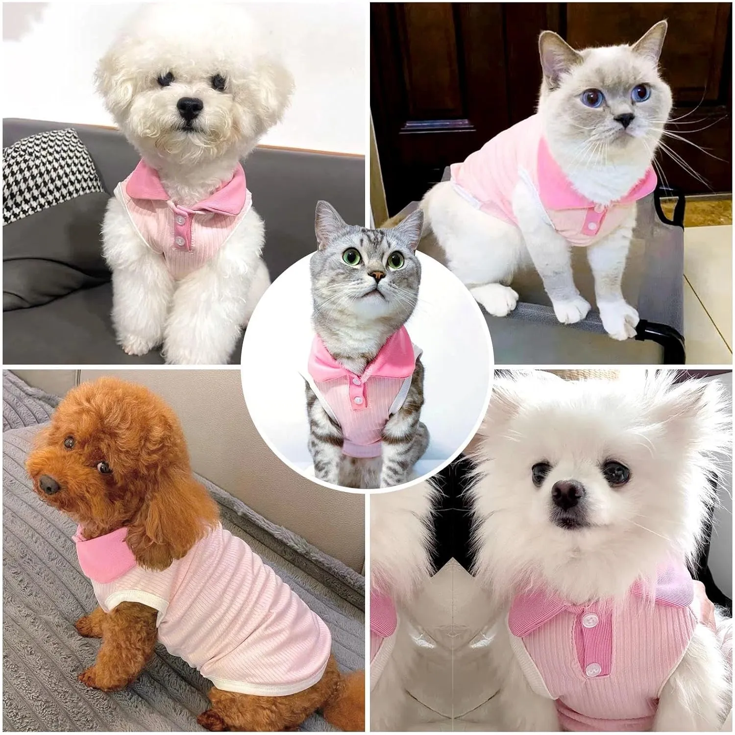 Dog Tshirts for Small Dogs Polo Shirt Stretchy Dog T Shirt Breathable Dogs Cooling Vest Sweatshirts Girl Boy Puppy Dachshund French Bulldog Frenchie Chihuahua Pet Clothes