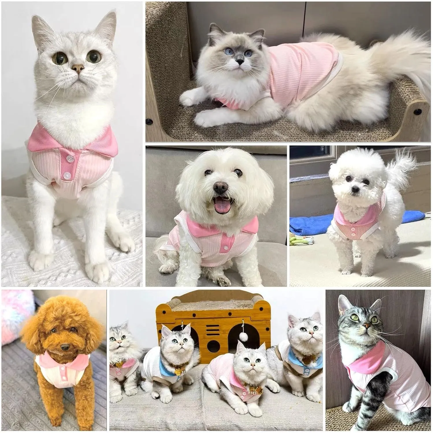 Dog Tshirts for Small Dogs Polo Shirt Stretchy Dog T Shirt Breathable Dogs Cooling Vest Sweatshirts Girl Boy Puppy Dachshund French Bulldog Frenchie Chihuahua Pet Clothes