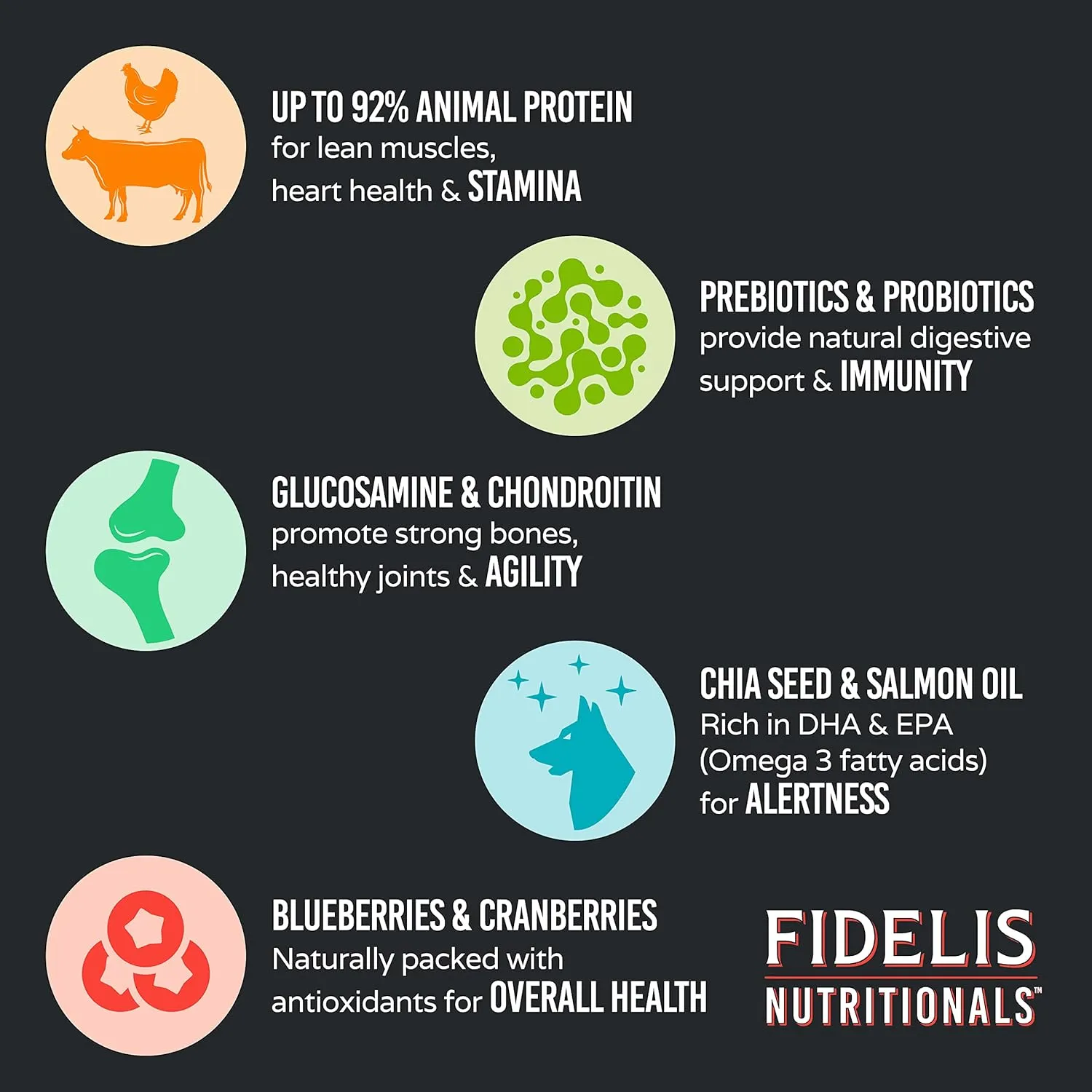 FIDELIS Freeze Dried Raw Dry Dog Food for Small, Medium, Large Dogs, High Protein, Chicken, Blueberries, Superfoods, Omega 3, Grain Free, Kibble-Alternative, Adult & Puppy, Made in USA, Beef, 2 lbs