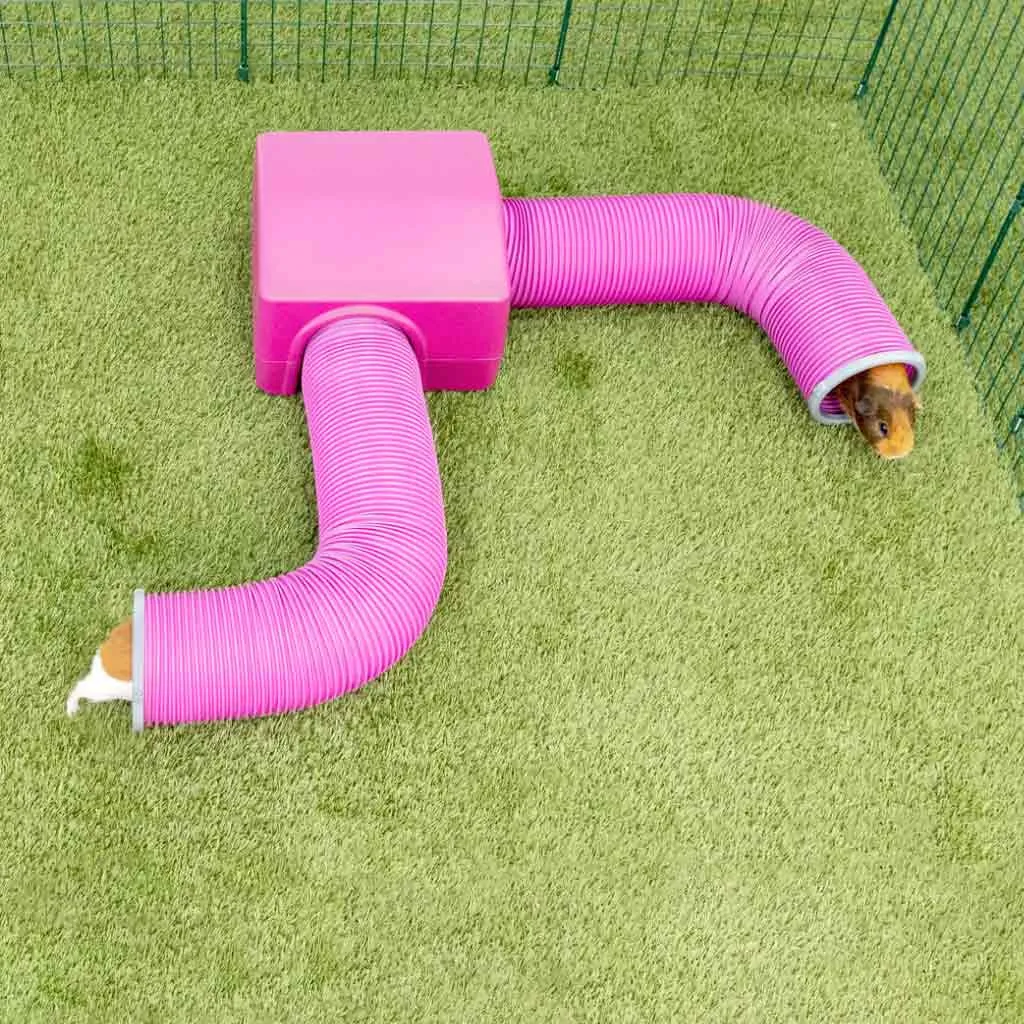 Guinea Pig Play Tunnels | Zippi
