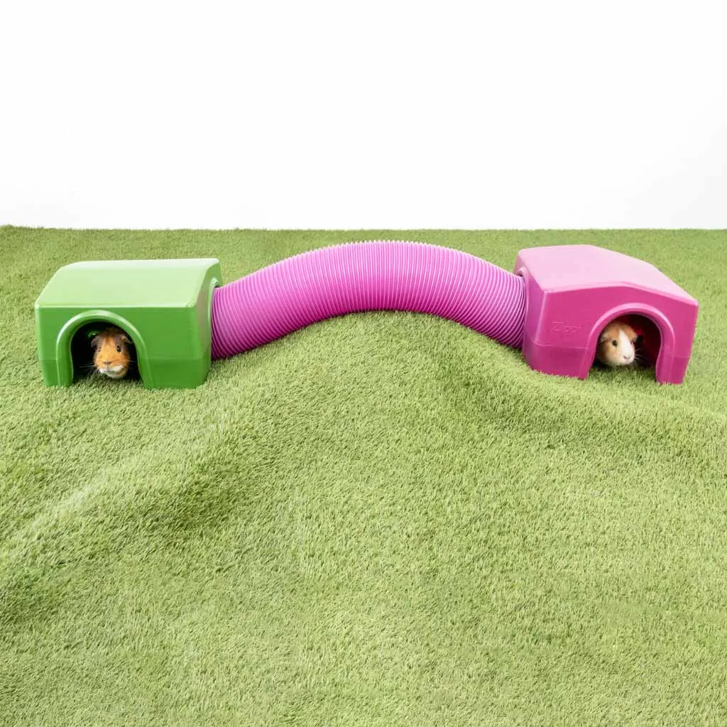 Guinea Pig Play Tunnels | Zippi