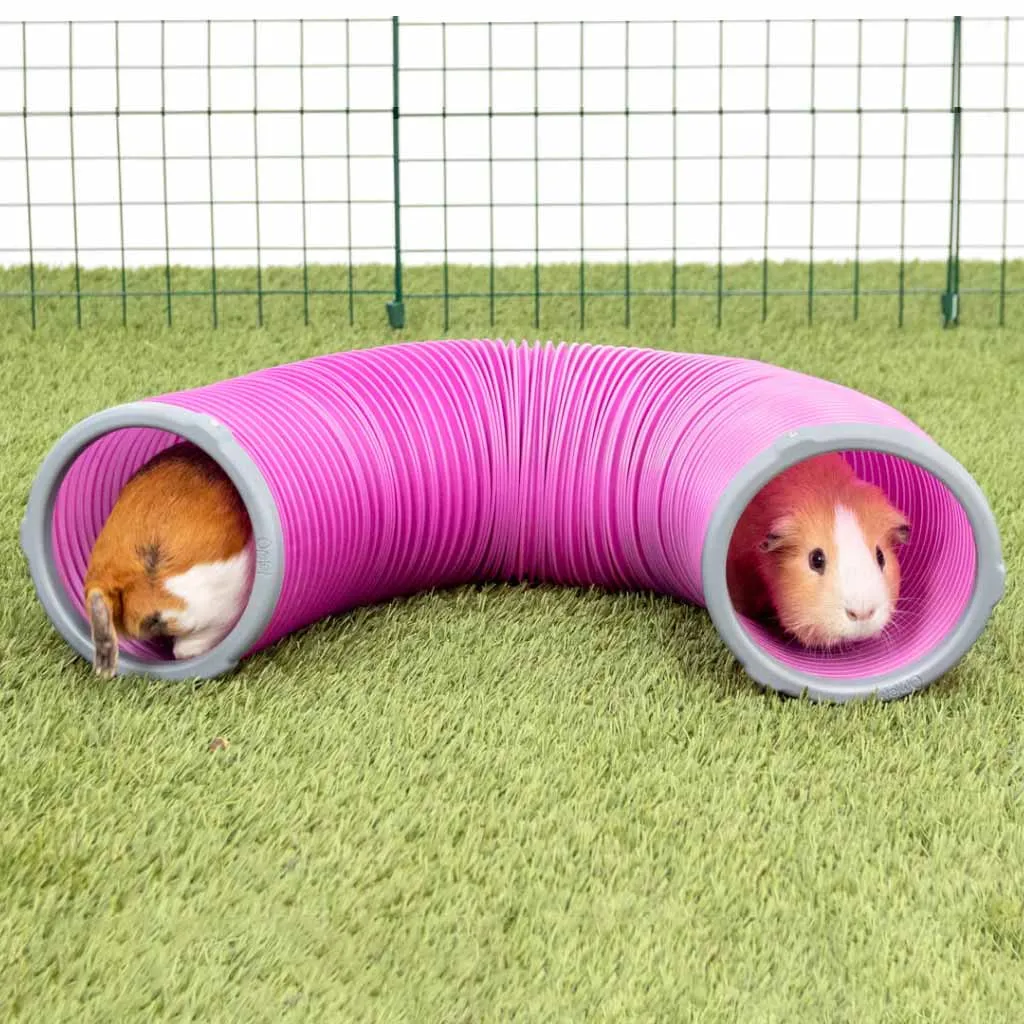 Guinea Pig Play Tunnels | Zippi