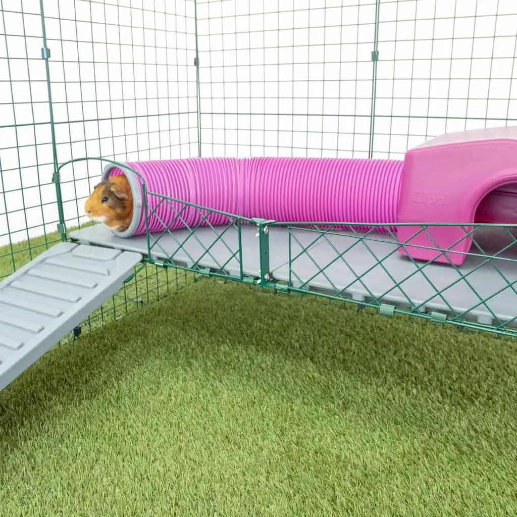 Guinea Pig Play Tunnels | Zippi