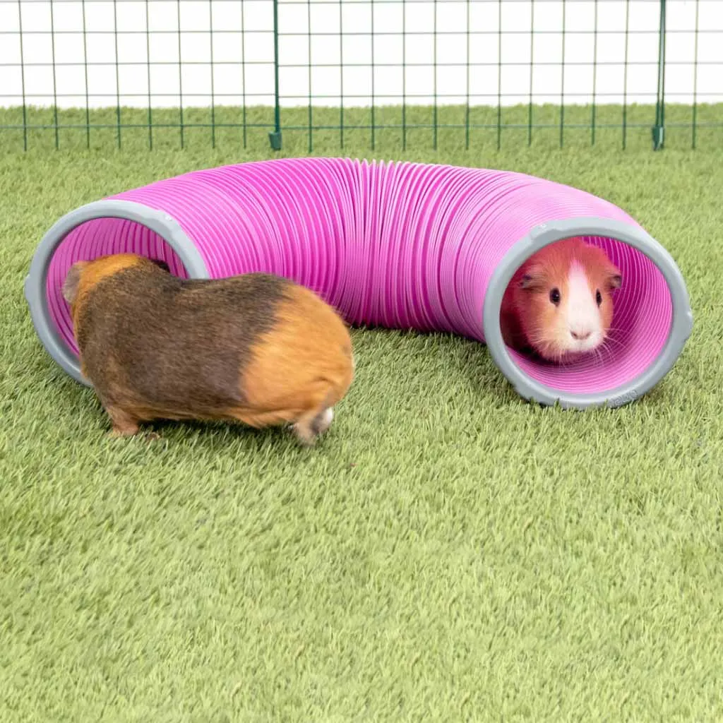 Guinea Pig Play Tunnels | Zippi