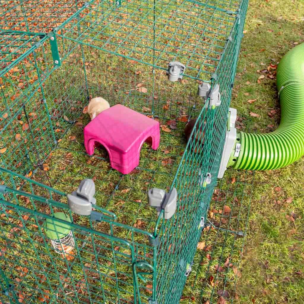 Guinea Pig Shelter | Zippi