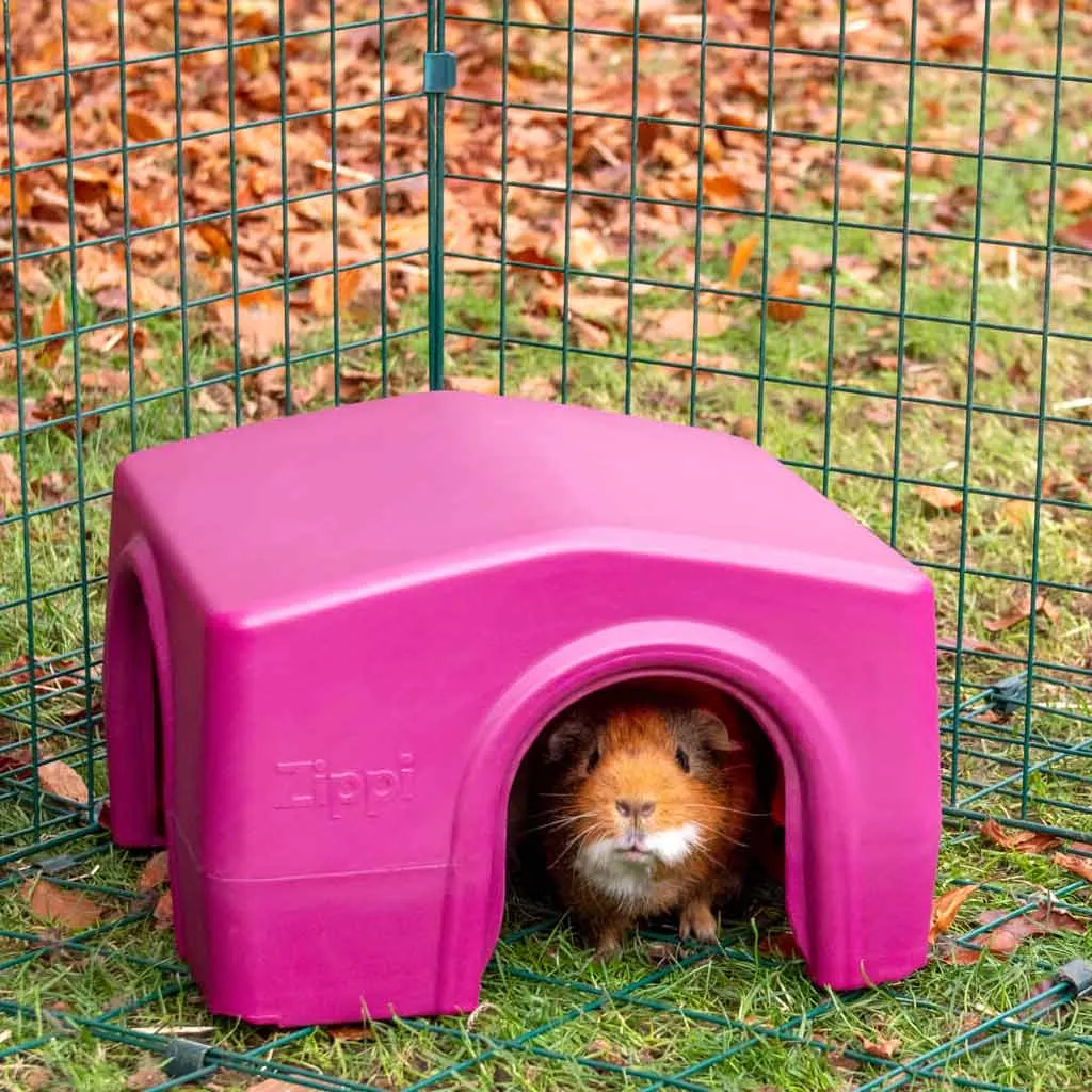 Guinea Pig Shelter | Zippi