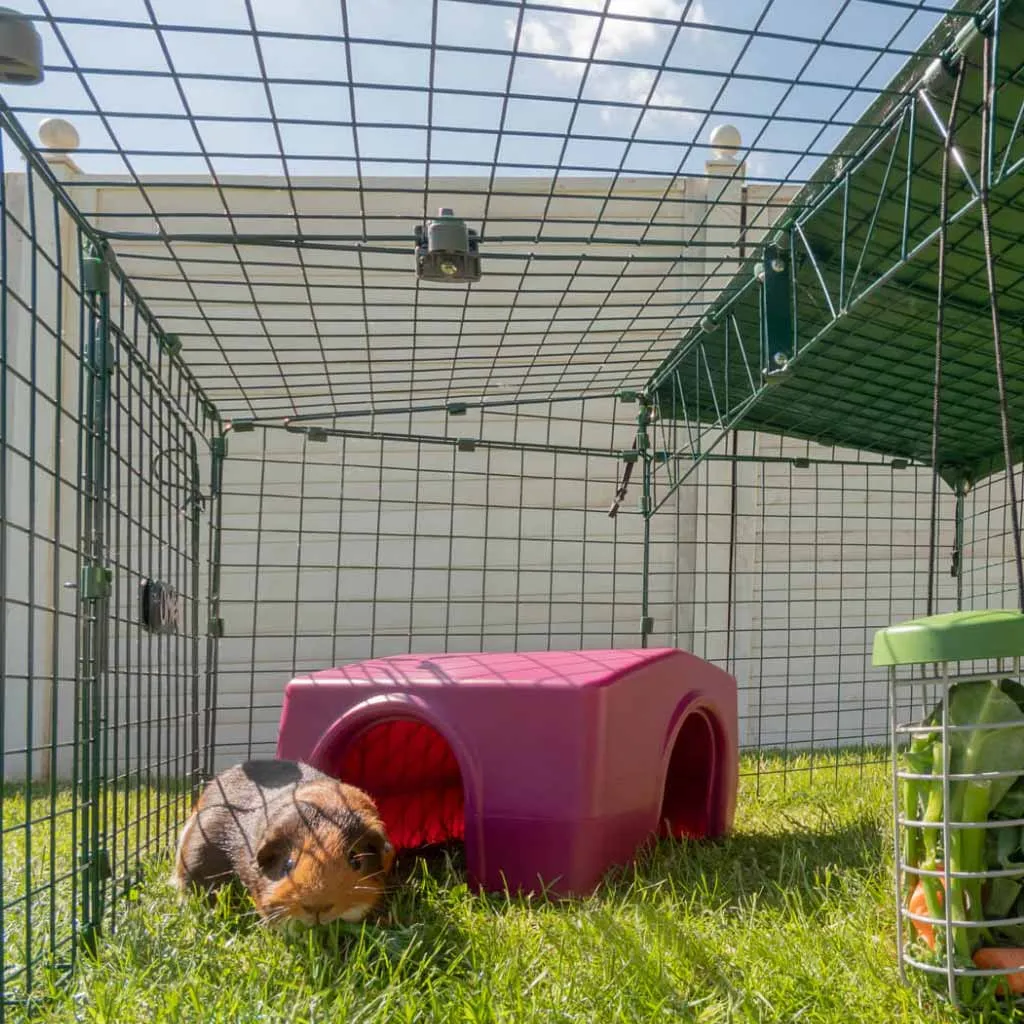 Guinea Pig Shelter | Zippi