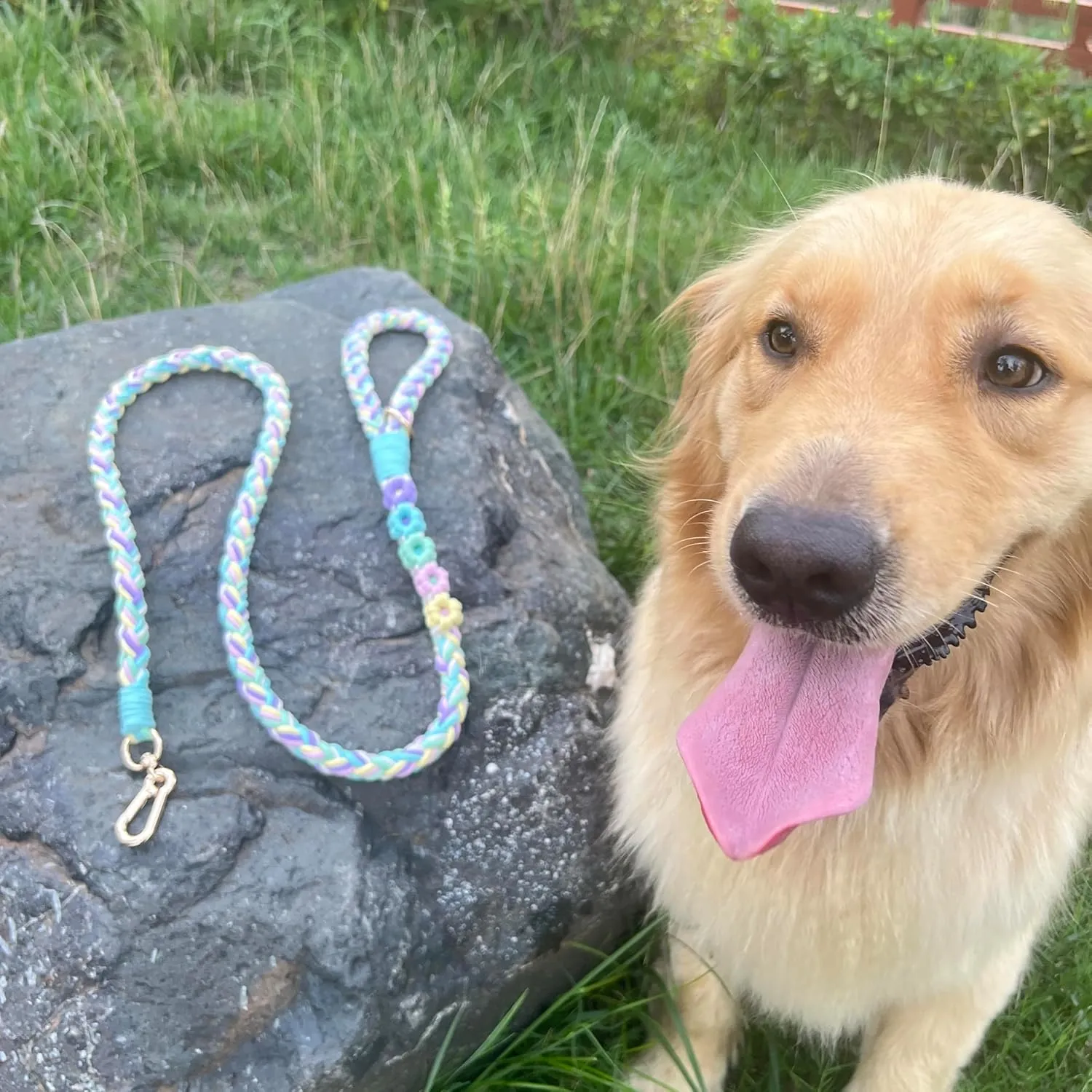 Handmade 5ft Braided Cotton Dog Leash with Unique Floral Handle, Durable and Stylish, Ideal for Small to Large Dogs, Rainbow Color
