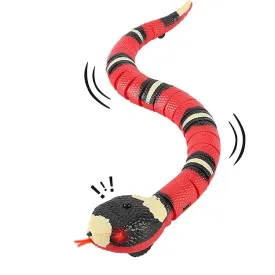 Interactive Cat Toys