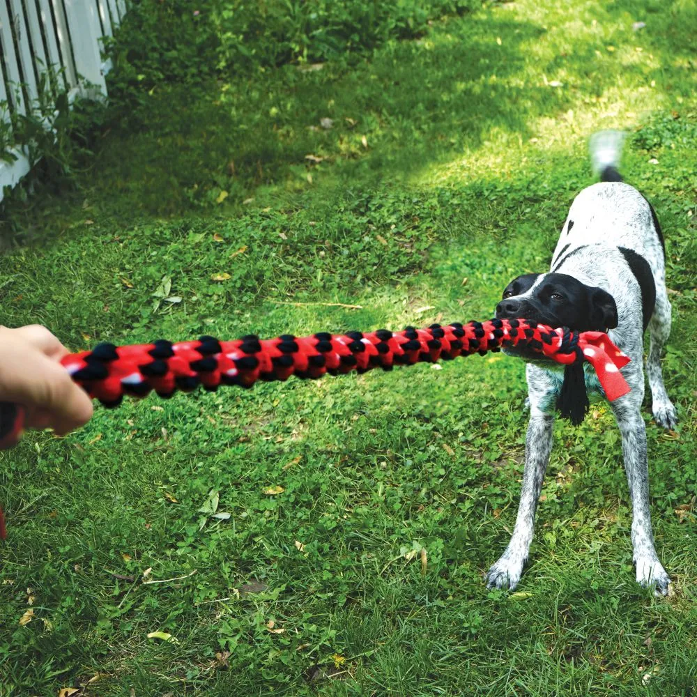 Kong Signature Rope Double Ring Tug Toy