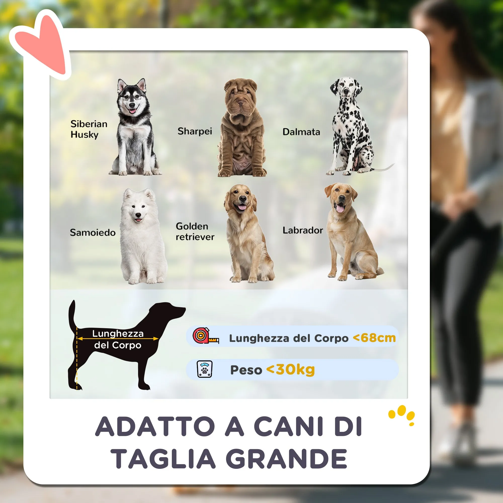 Large Dog Stroller Foldable with Mesh Windows, Cushion and Leashes, 124x67x100 cm, Black