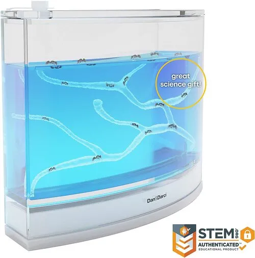 Light-Up Ant Habitat S6