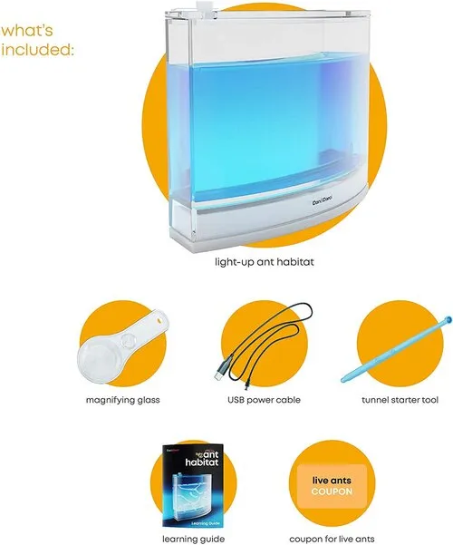 Light-Up Ant Habitat S6