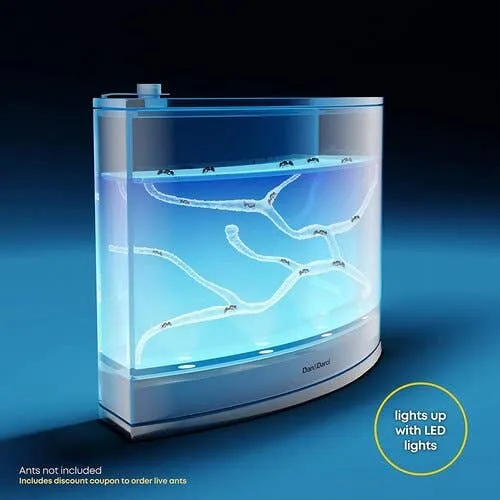 Light-Up Ant Habitat S6