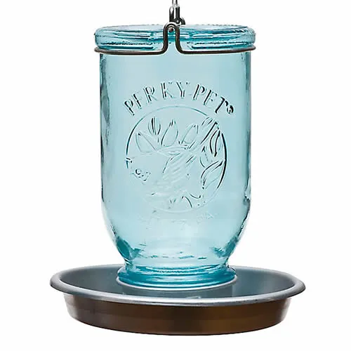 Mason Jar Wild Bird Waterer