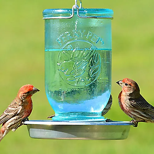 Mason Jar Wild Bird Waterer