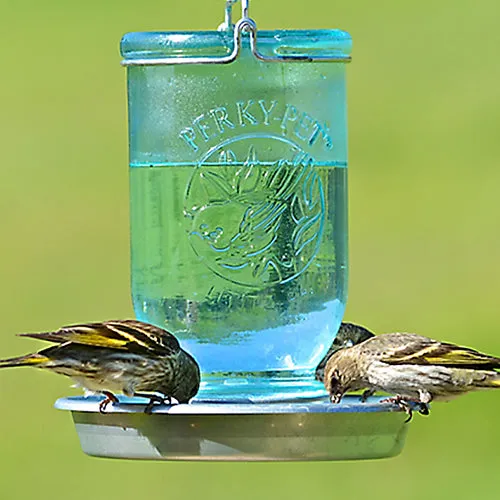 Mason Jar Wild Bird Waterer