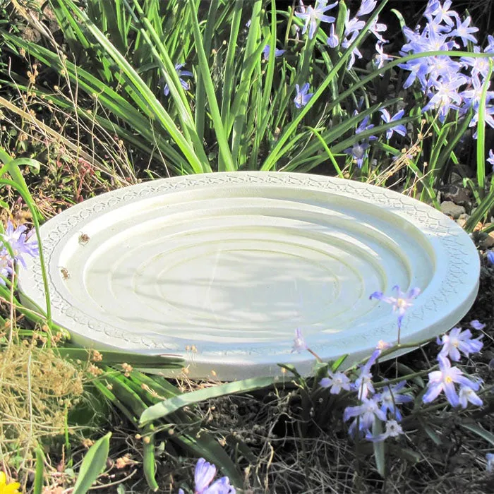 Nature Oasis Bird Bath