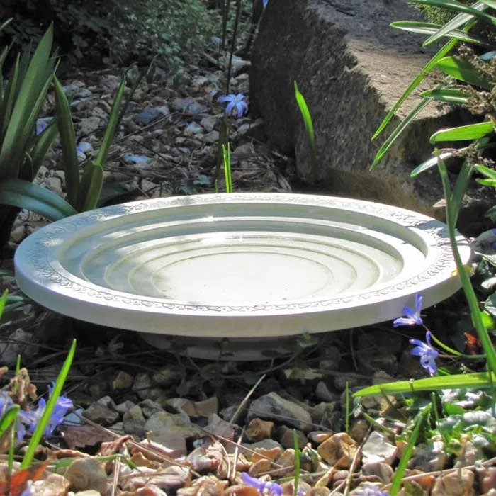 Nature Oasis Bird Bath