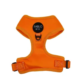 Orange Crush Adjustable Dog Harness