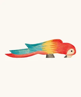 Ostheimer Multicoloured Parrot