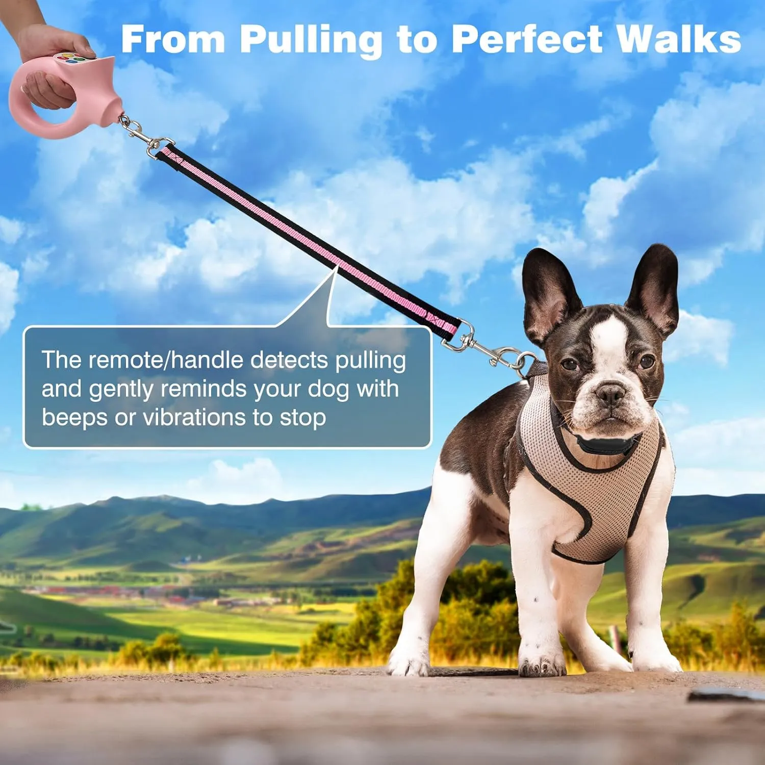 PaiPaitek No-Pull Dog Training Collar with Remote - Automatic Anti-Pull Sensor with 3 Training Modes (Beep/Vibration/Shock) for Effective Leash Training and Behavior Correction