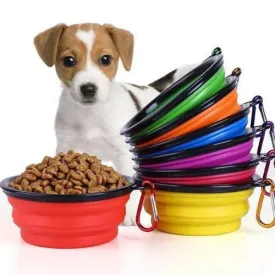 Pet Foldable & Portable Travel Bowl - 350ml