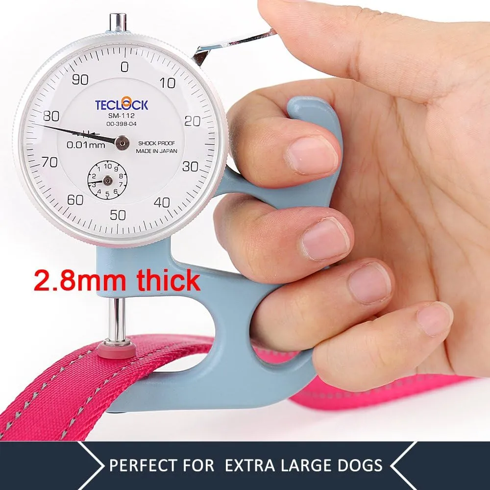 Plutus Pet Double Handle Dog Leash 6ft Long, Padded 2 Handle, Heavy Duty, Reflective Training Leash for Medium Large Dogs, Dual Handle Lead (Pink)