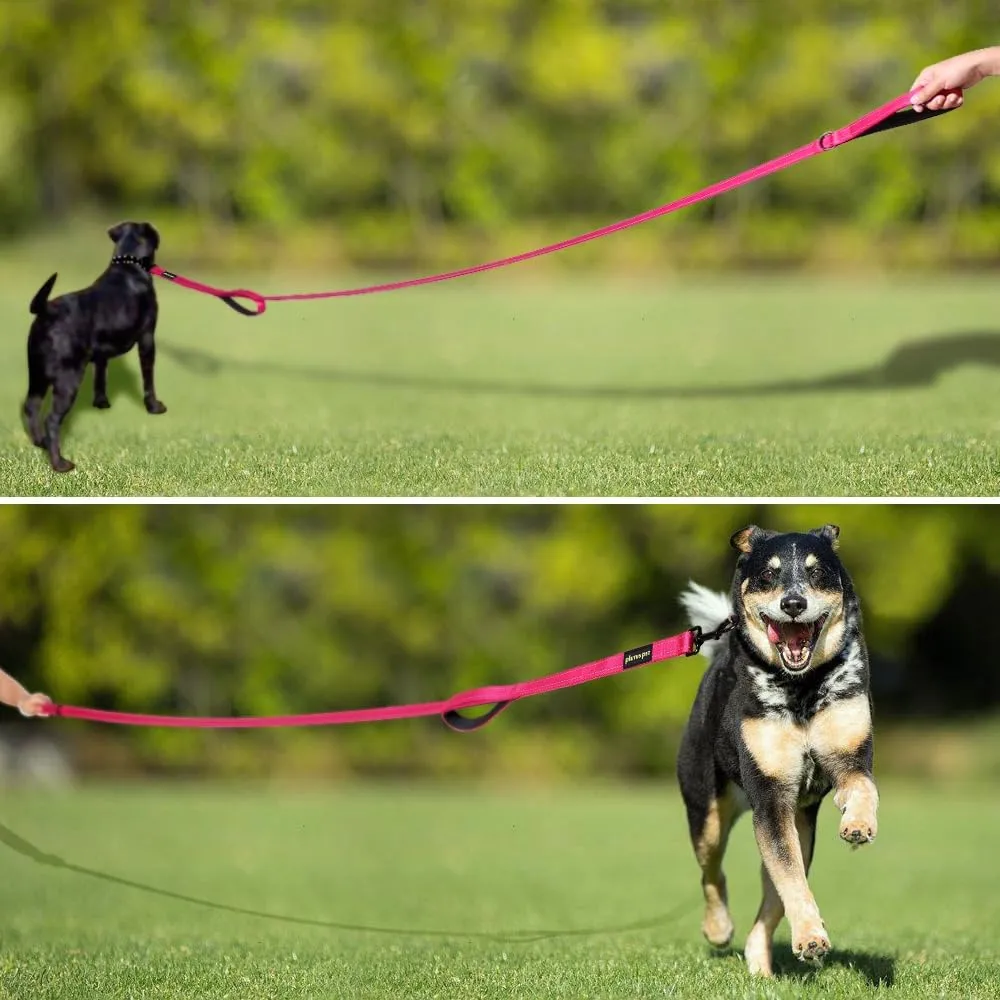 Plutus Pet Double Handle Dog Leash 6ft Long, Padded 2 Handle, Heavy Duty, Reflective Training Leash for Medium Large Dogs, Dual Handle Lead (Pink)