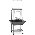 Prevue Pet Products Parrot Playstand