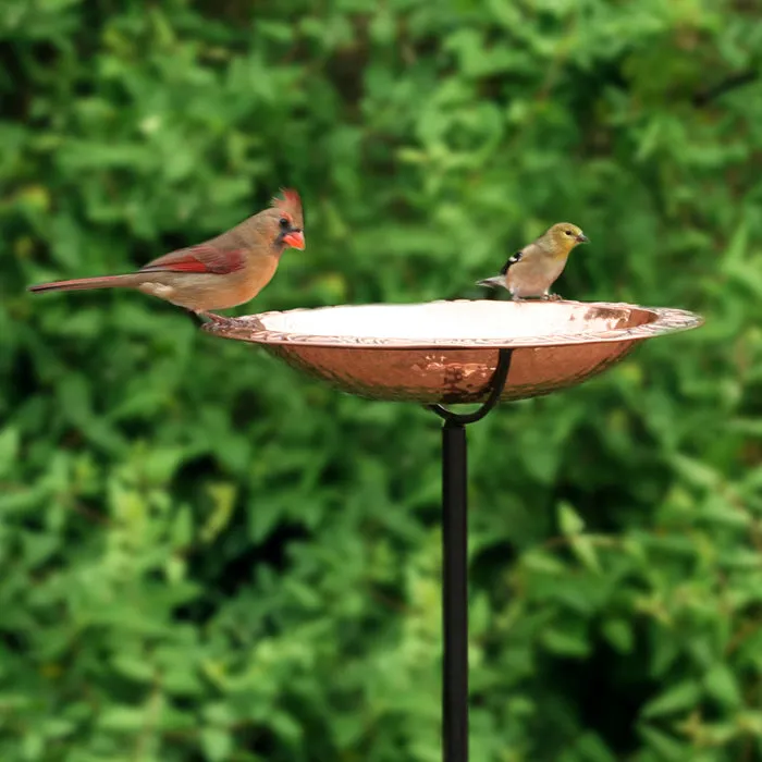 Pure Copper Bird Bath with Garden Pole