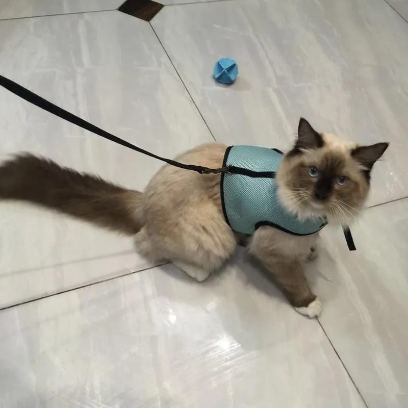 Rabbit Vest Harness With Leash