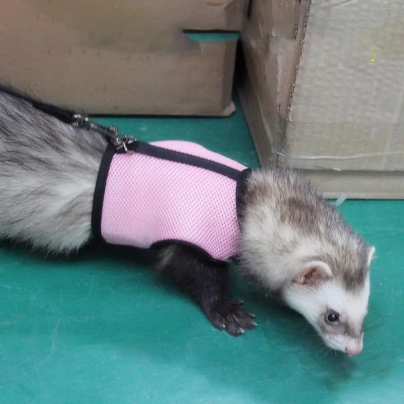 Rabbit Vest Harness With Leash