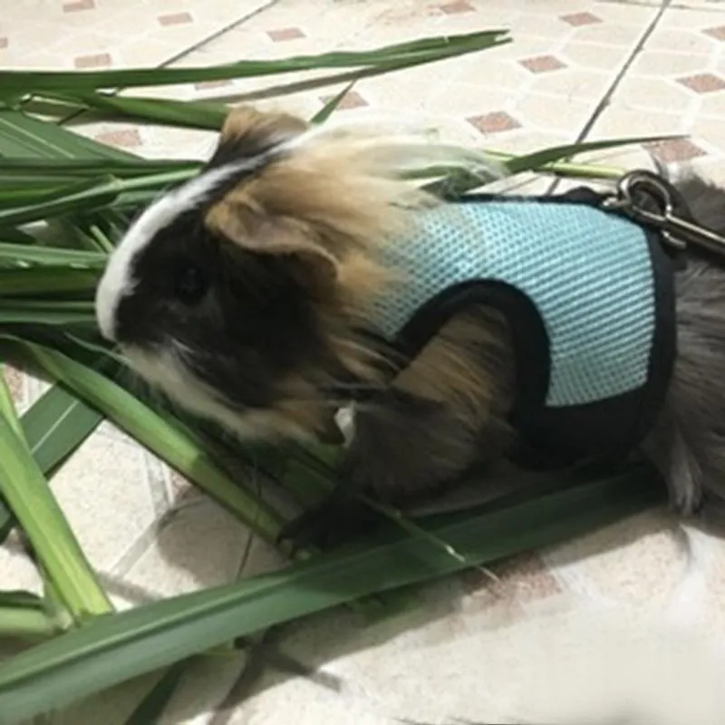 Rabbit Vest Harness With Leash