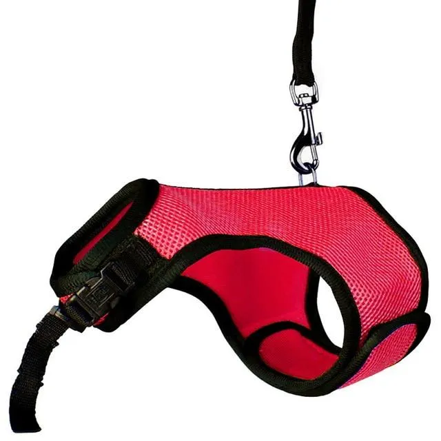 Rabbit Vest Harness With Leash