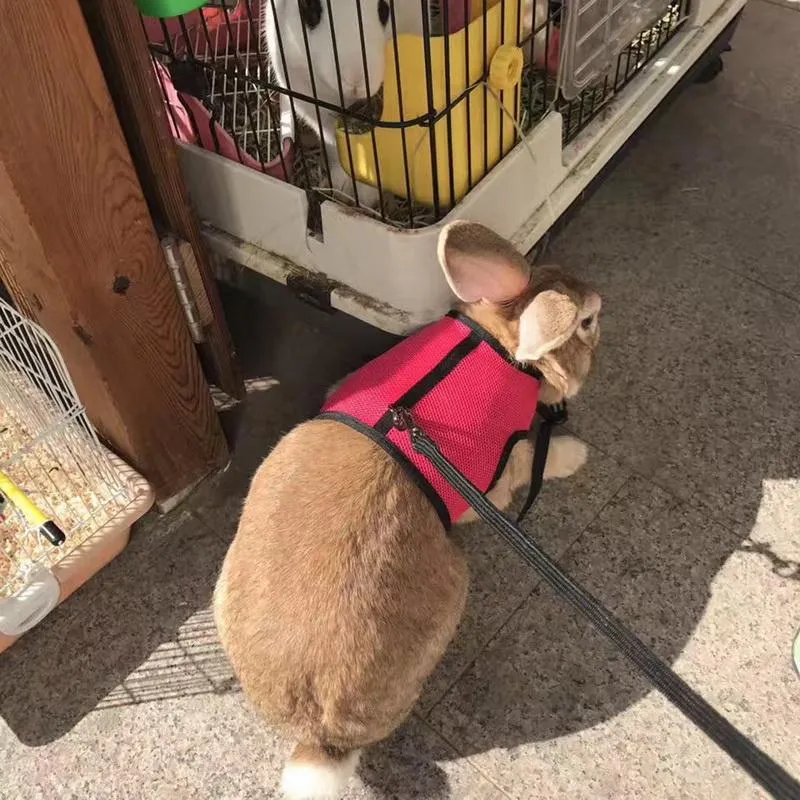 Rabbit Vest Harness With Leash